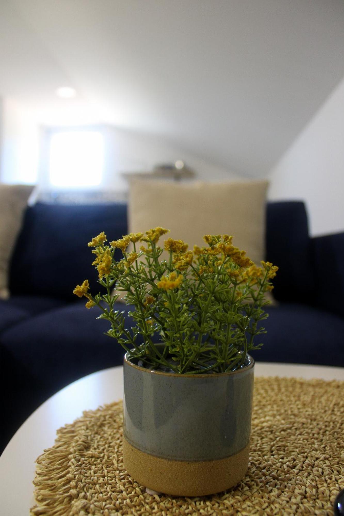 Apartment Smoljan *